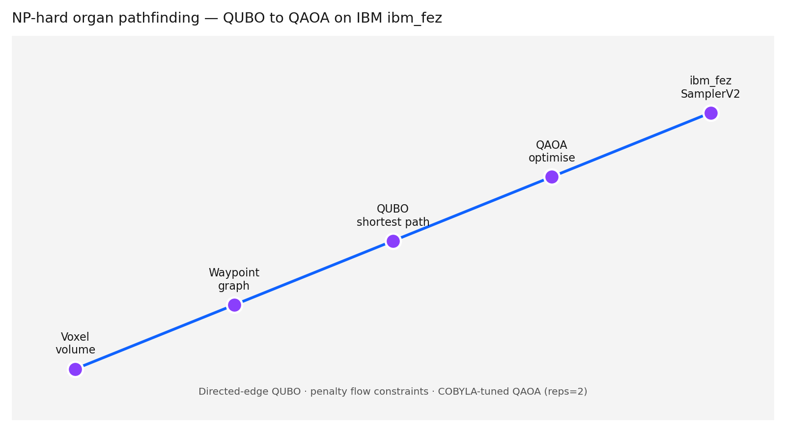 QUBO to QAOA pipeline for NP-hard organ pathfinding on ibm_fez